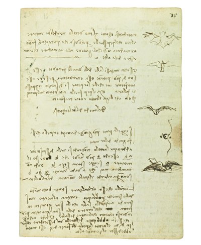 Codex over de vlucht van vogels, Folio 15 recto door Leonardo da Vinci